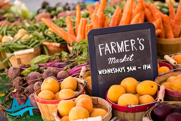 farmers-market-at-moss-marina—image farmers-market-at-moss-marina---image